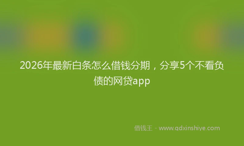 2026年最新白条怎么借钱分期，分享5个不看负债的网贷app