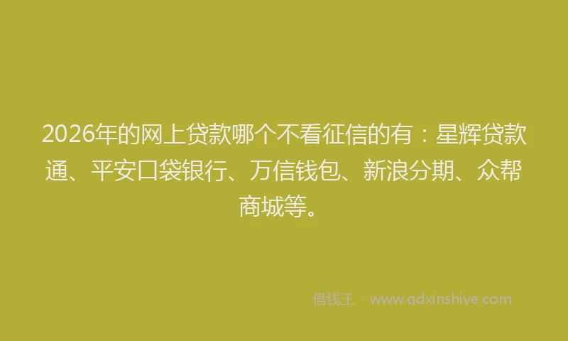 2026年的网上贷款哪个不看征信的有：星辉贷款通、平安口袋银行、万信钱包、新浪分期、众帮商城等。
