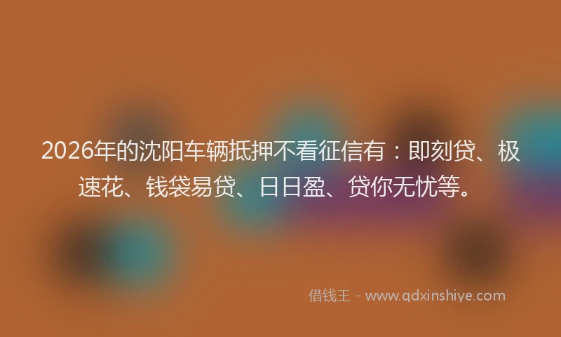 2026年的沈阳车辆抵押不看征信有：即刻贷、极速花、钱袋易贷、日日盈、贷你无忧等。