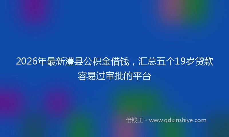2026年最新澧县公积金借钱，汇总五个19岁贷款容易过审批的平台