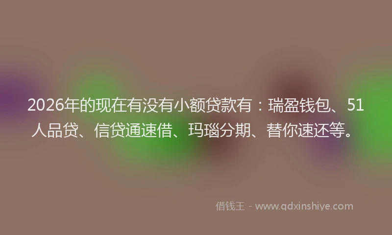 2026年的现在有没有小额贷款有：瑞盈钱包、51人品贷、信贷通速借、玛瑙分期、替你速还等。