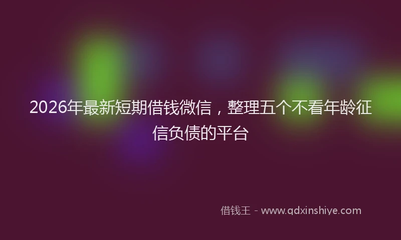 2026年最新短期借钱微信，整理五个不看年龄征信负债的平台