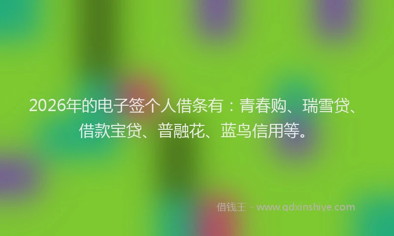 2026年的电子签个人借条有：青春购、瑞雪贷、借款宝贷、普融花、蓝鸟信用等。