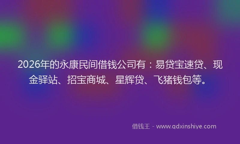 2026年的永康民间借钱公司有：易贷宝速贷、现金驿站、招宝商城、星辉贷、飞猪钱包等。