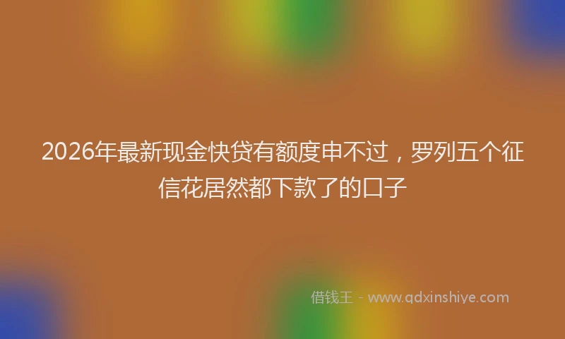 2026年最新现金快贷有额度申不过，罗列五个征信花居然都下款了的口子