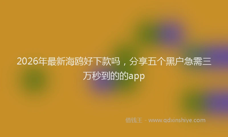 2026年最新海鸥好下款吗，分享五个黑户急需三万秒到的的app