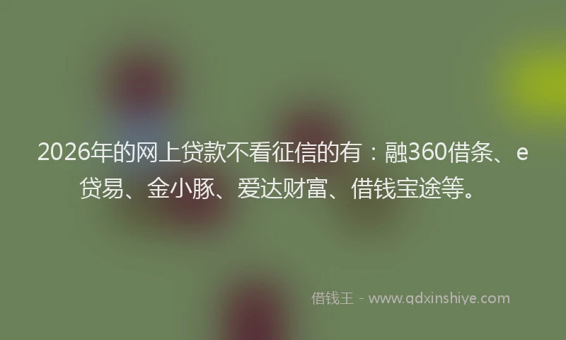 2026年的网上贷款不看征信的有：融360借条、e贷易、金小豚、爱达财富、借钱宝途等。