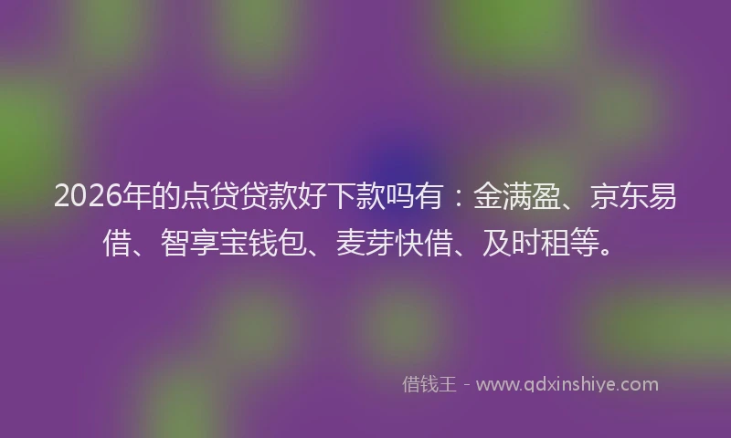 2026年的点贷贷款好下款吗有：金满盈、京东易借、智享宝钱包、麦芽快借、及时租等。