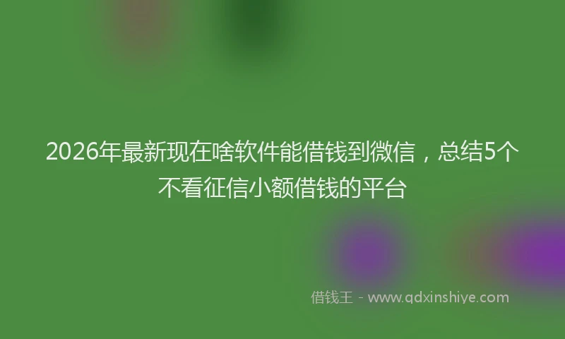 2026年最新现在啥软件能借钱到微信，总结5个不看征信小额借钱的平台