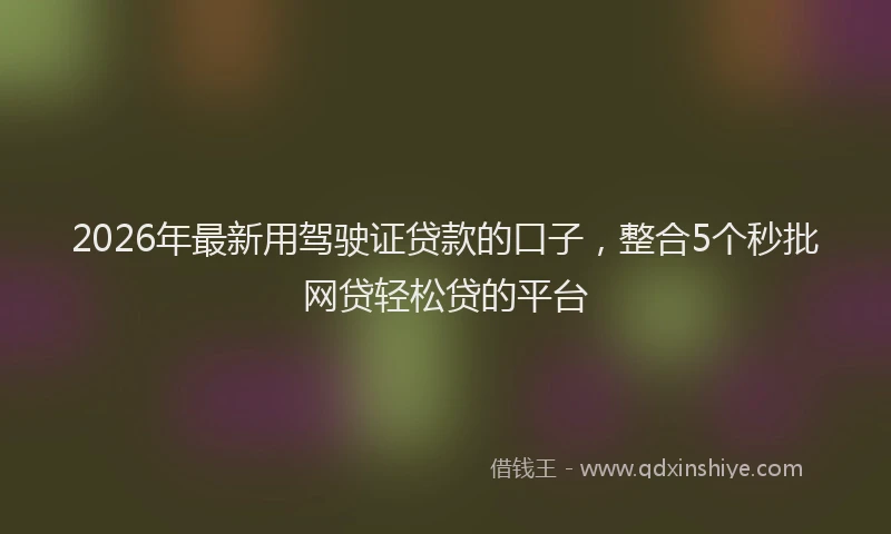 2026年最新用驾驶证贷款的口子，整合5个秒批网贷轻松贷的平台