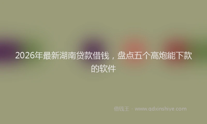 2026年最新湖南贷款借钱，盘点五个高炮能下款的软件