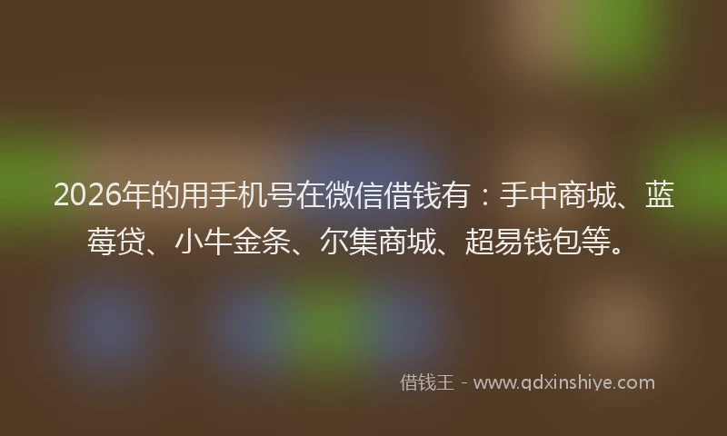2026年的用手机号在微信借钱有：手中商城、蓝莓贷、小牛金条、尔集商城、超易钱包等。