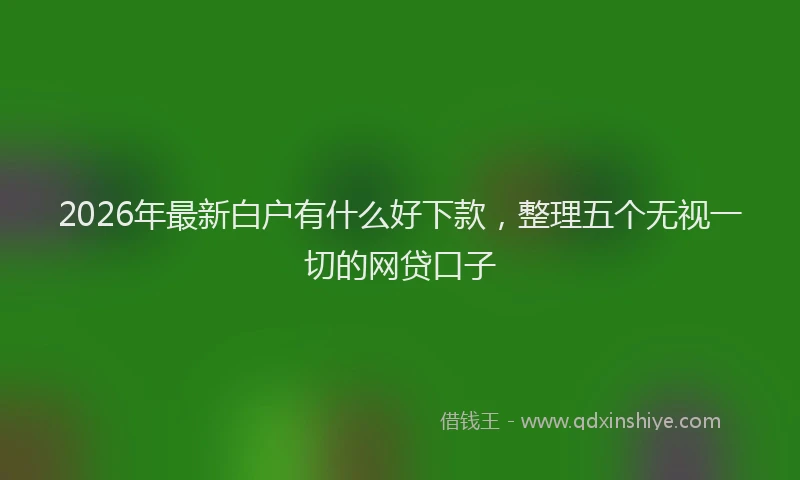 2026年最新白户有什么好下款，整理五个无视一切的网贷口子