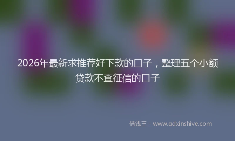2026年最新求推荐好下款的口子，整理五个小额贷款不查征信的口子