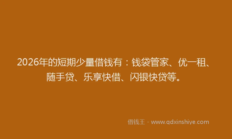 2026年的短期少量借钱有：钱袋管家、优一租、随手贷、乐享快借、闪银快贷等。