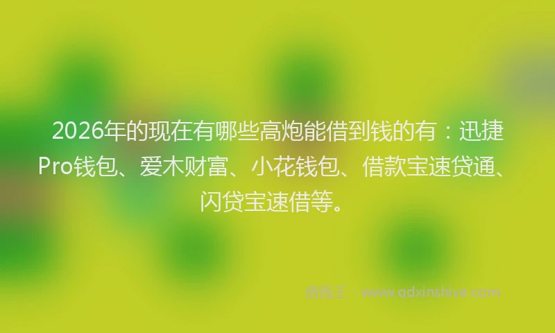 2026年的现在有哪些高炮能借到钱的有：迅捷Pro钱包、爱木财富、小花钱包、借款宝速贷通、闪贷宝速借等。