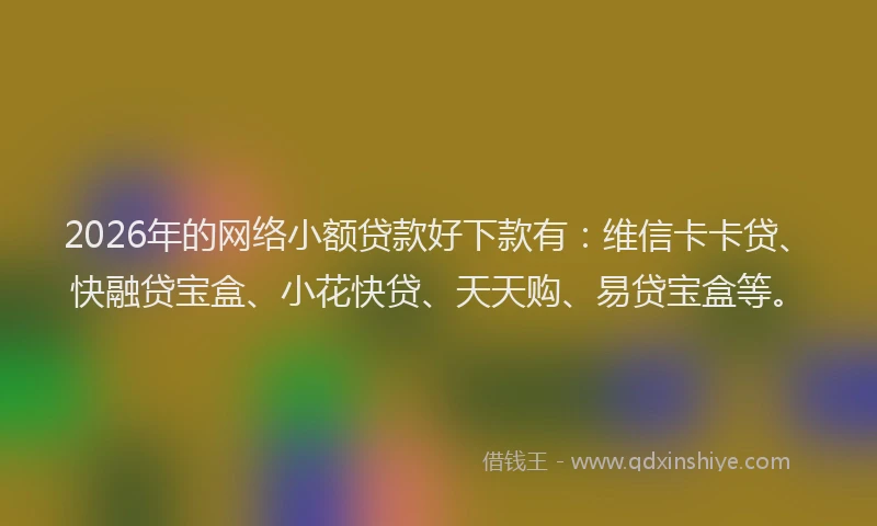 2026年的网络小额贷款好下款有：维信卡卡贷、快融贷宝盒、小花快贷、天天购、易贷宝盒等。