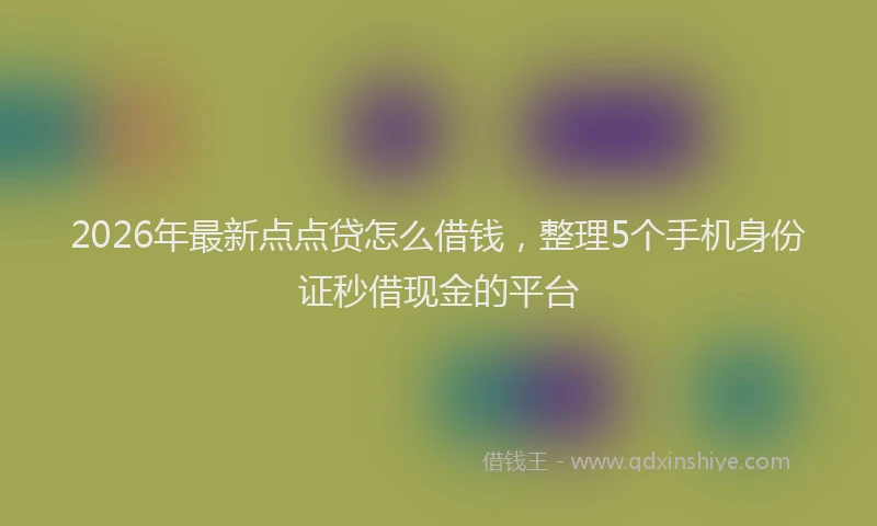 2026年最新点点贷怎么借钱，整理5个手机身份证秒借现金的平台