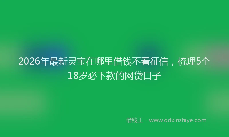 2026年最新灵宝在哪里借钱不看征信，梳理5个18岁必下款的网贷口子