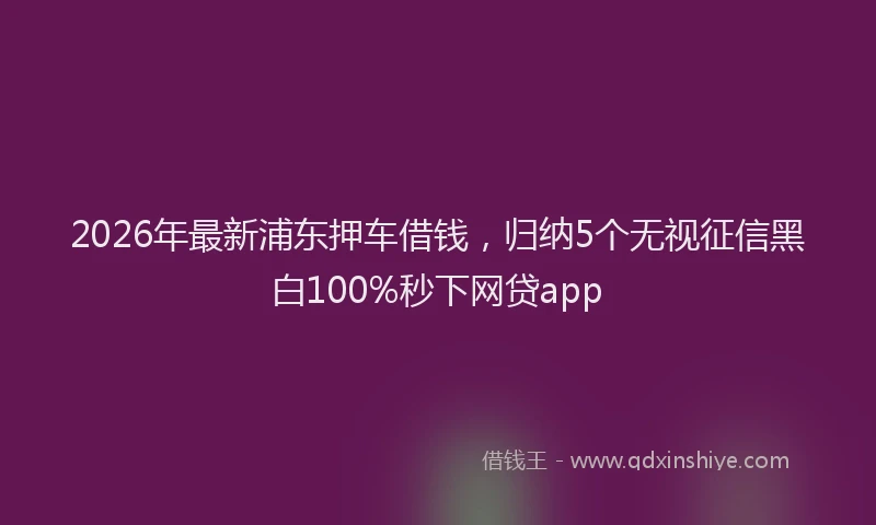 2026年最新浦东押车借钱，归纳5个无视征信黑白100%秒下网贷app