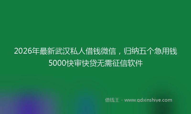 2026年最新武汉私人借钱微信，归纳五个急用钱5000快审快贷无需征信软件