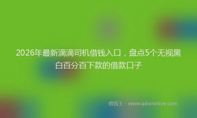 2026年最新滴滴司机借钱入口，盘点5个无视黑白百分百下款的借款口子
