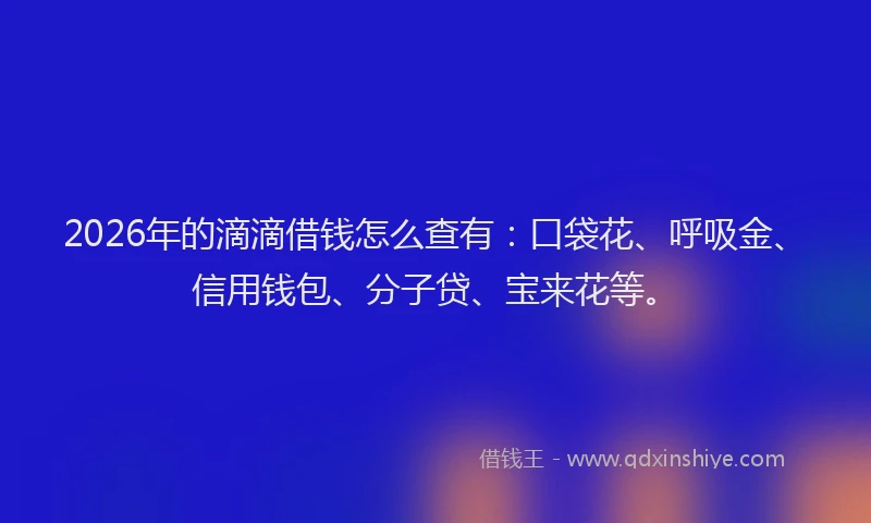 2026年的滴滴借钱怎么查有：口袋花、呼吸金、信用钱包、分子贷、宝来花等。
