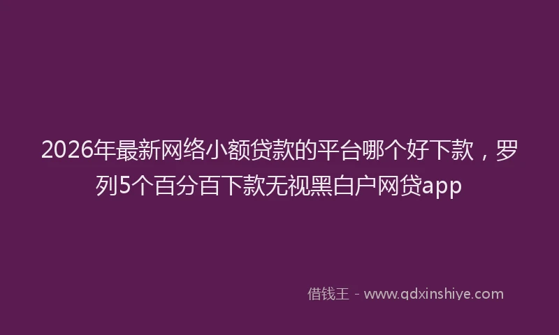 2026年最新网络小额贷款的平台哪个好下款，罗列5个百分百下款无视黑白户网贷app