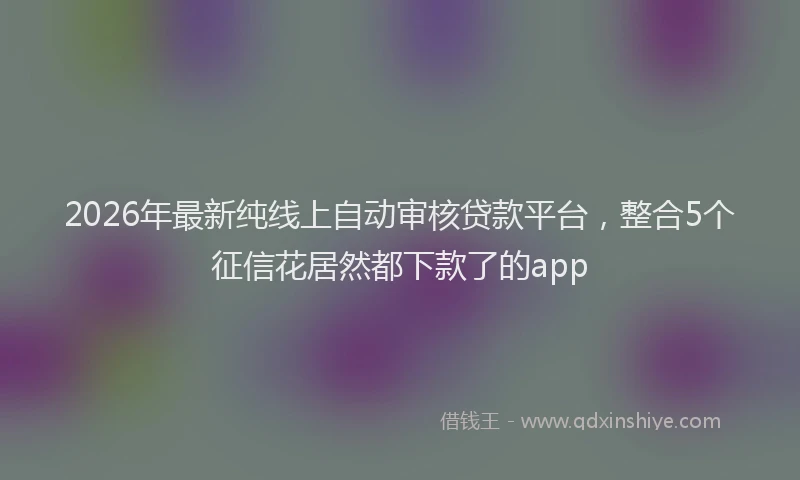 2026年最新纯线上自动审核贷款平台，整合5个征信花居然都下款了的app
