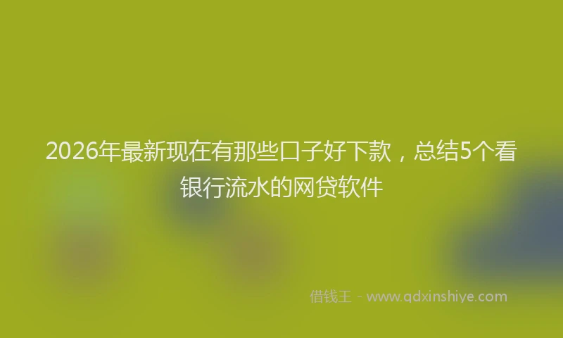 2026年最新现在有那些口子好下款，总结5个看银行流水的网贷软件