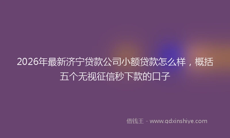 2026年最新济宁贷款公司小额贷款怎么样，概括五个无视征信秒下款的口子