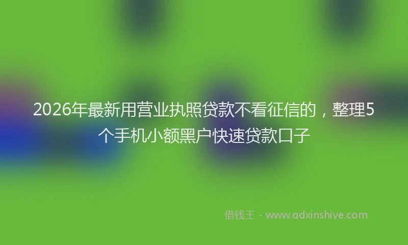 2026年最新用营业执照贷款不看征信的，整理5个手机小额黑户快速贷款口子