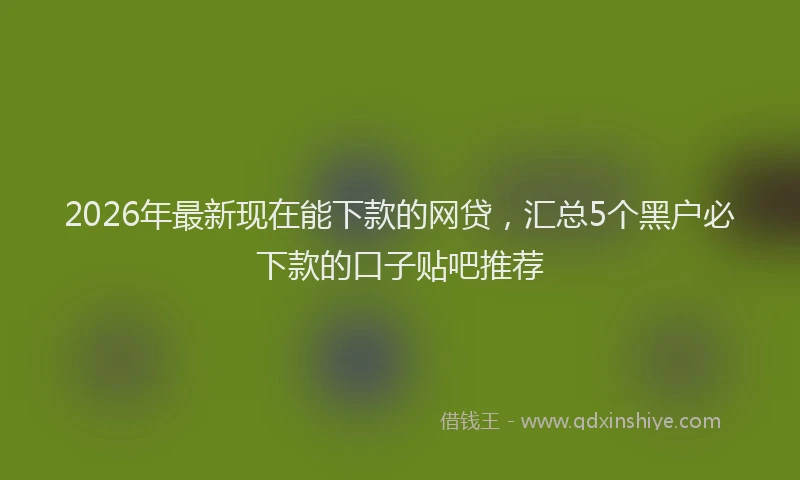 2026年最新现在能下款的网贷，汇总5个黑户必下款的口子贴吧推荐