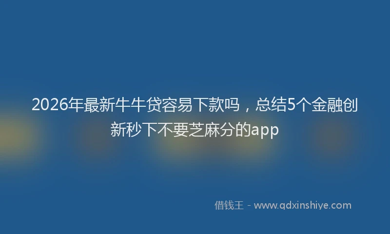 2026年最新牛牛贷容易下款吗，总结5个金融创新秒下不要芝麻分的app