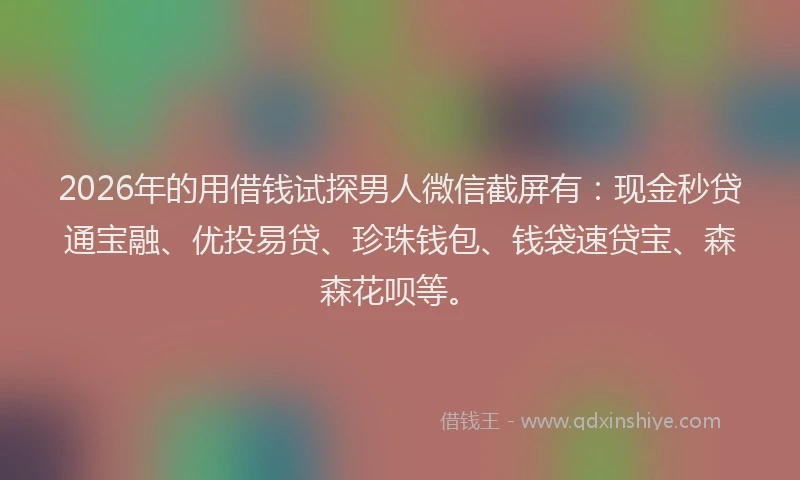 2026年的用借钱试探男人微信截屏有：现金秒贷通宝融、优投易贷、珍珠钱包、钱袋速贷宝、森森花呗等。