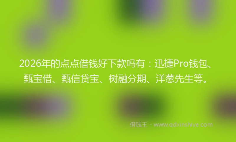 2026年的点点借钱好下款吗有：迅捷Pro钱包、甄宝借、甄信贷宝、树融分期、洋葱先生等。
