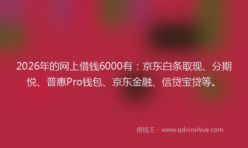 2026年的网上借钱6000有：京东白条取现、分期悦、普惠Pro钱包、京东金融、信贷宝贷等。