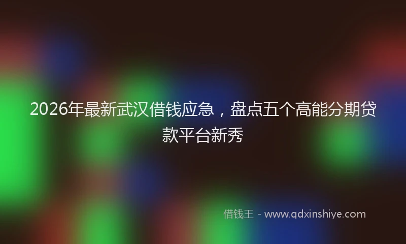 2026年最新武汉借钱应急，盘点五个高能分期贷款平台新秀