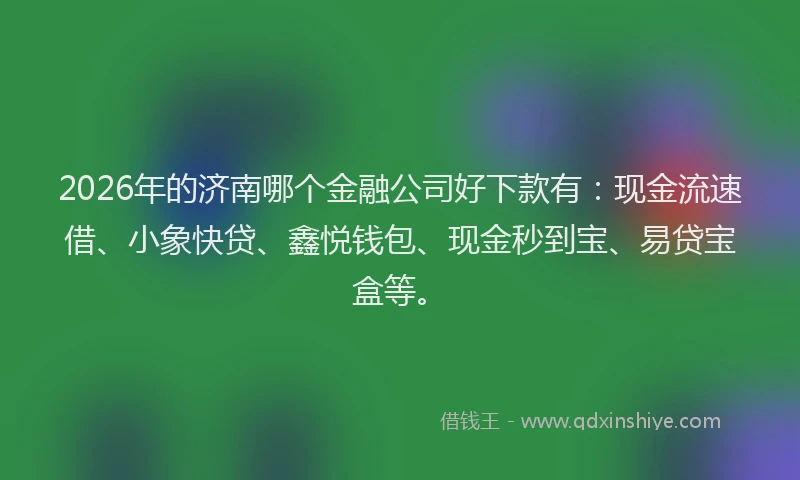 2026年的济南哪个金融公司好下款有：现金流速借、小象快贷、鑫悦钱包、现金秒到宝、易贷宝盒等。
