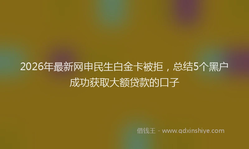 2026年最新网申民生白金卡被拒，总结5个黑户成功获取大额贷款的口子