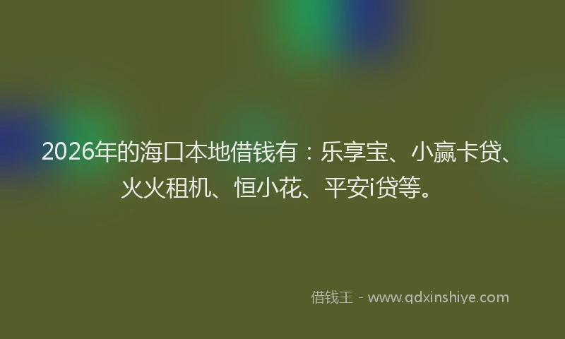 2026年的海口本地借钱有：乐享宝、小赢卡贷、火火租机、恒小花、平安i贷等。