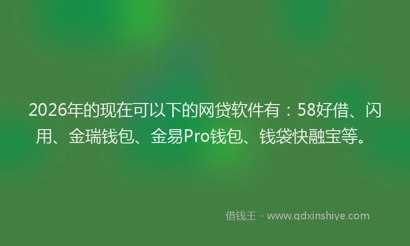 2026年的现在可以下的网贷软件有：58好借、闪用、金瑞钱包、金易Pro钱包、钱袋快融宝等。