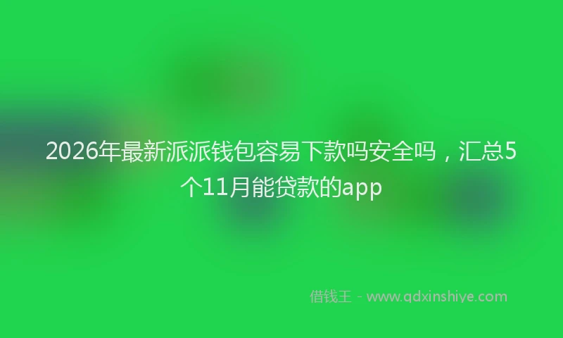 2026年最新派派钱包容易下款吗安全吗，汇总5个11月能贷款的app