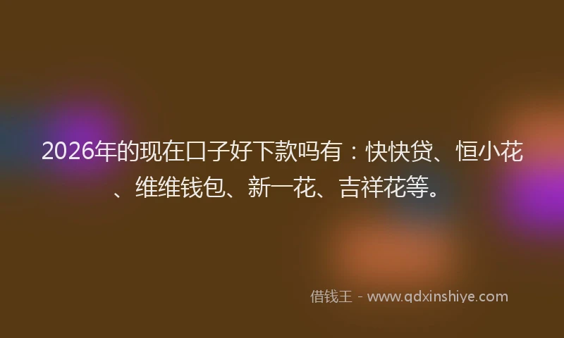 2026年的现在口子好下款吗有：快快贷、恒小花、维维钱包、新一花、吉祥花等。