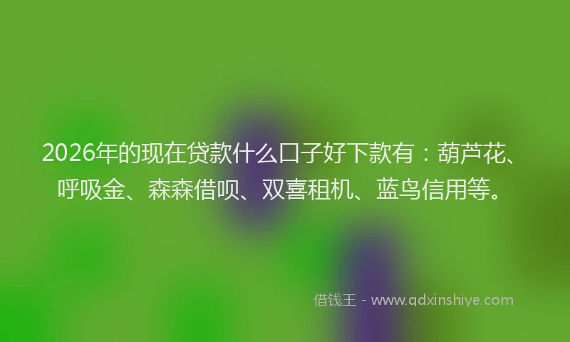 2026年的现在贷款什么口子好下款有：葫芦花、呼吸金、森森借呗、双喜租机、蓝鸟信用等。
