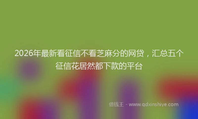 2026年最新看征信不看芝麻分的网贷，汇总五个征信花居然都下款的平台