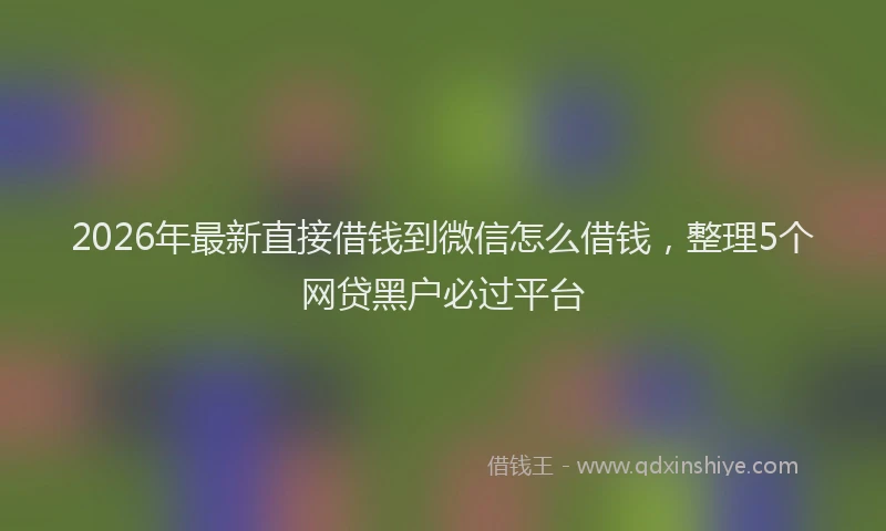 2026年最新直接借钱到微信怎么借钱，整理5个网贷黑户必过平台