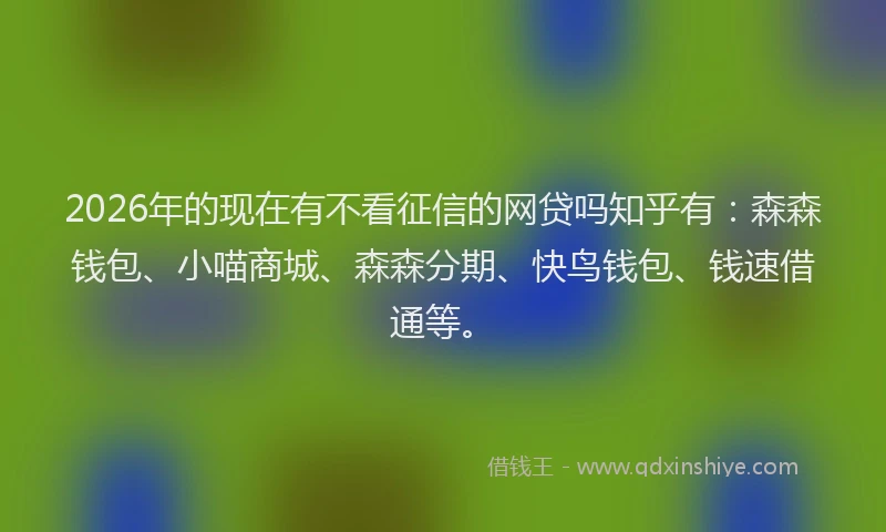 2026年的现在有不看征信的网贷吗知乎有：森森钱包、小喵商城、森森分期、快鸟钱包、钱速借通等。