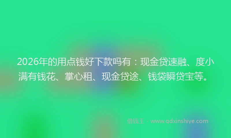 2026年的用点钱好下款吗有：现金贷速融、度小满有钱花、掌心租、现金贷途、钱袋瞬贷宝等。
