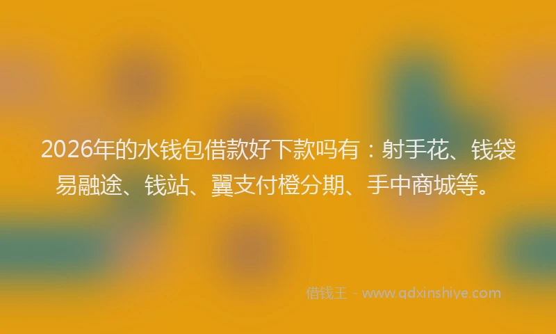 2026年的水钱包借款好下款吗有：射手花、钱袋易融途、钱站、翼支付橙分期、手中商城等。